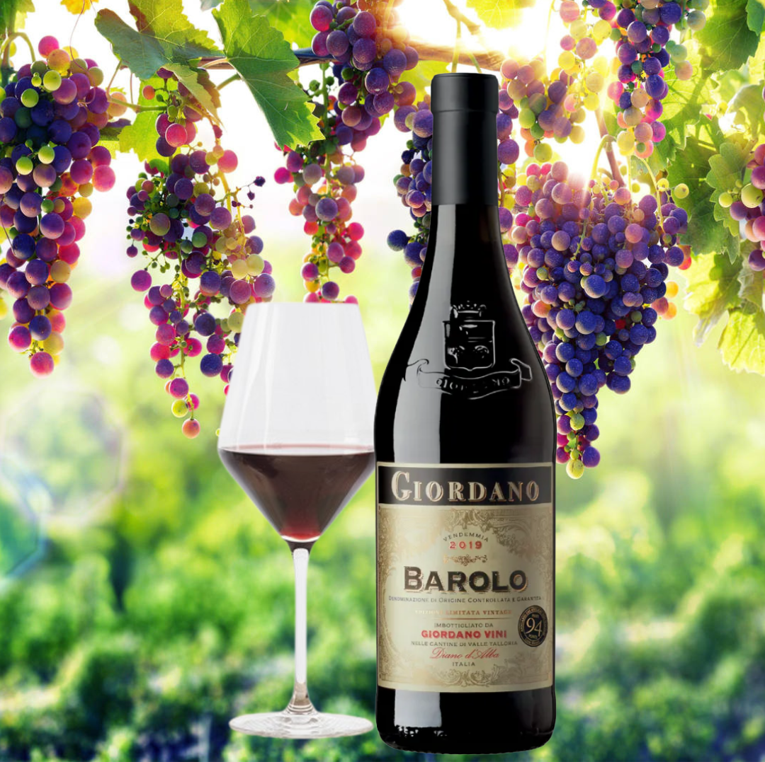 Barolo DOCG Giordano 750ml - Image 4