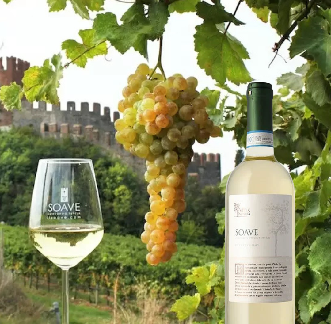 Soave Vitis Nostra D.O.C. 750ml - Image 3